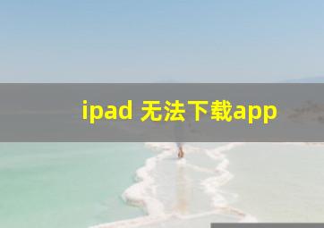 ipad 无法下载app